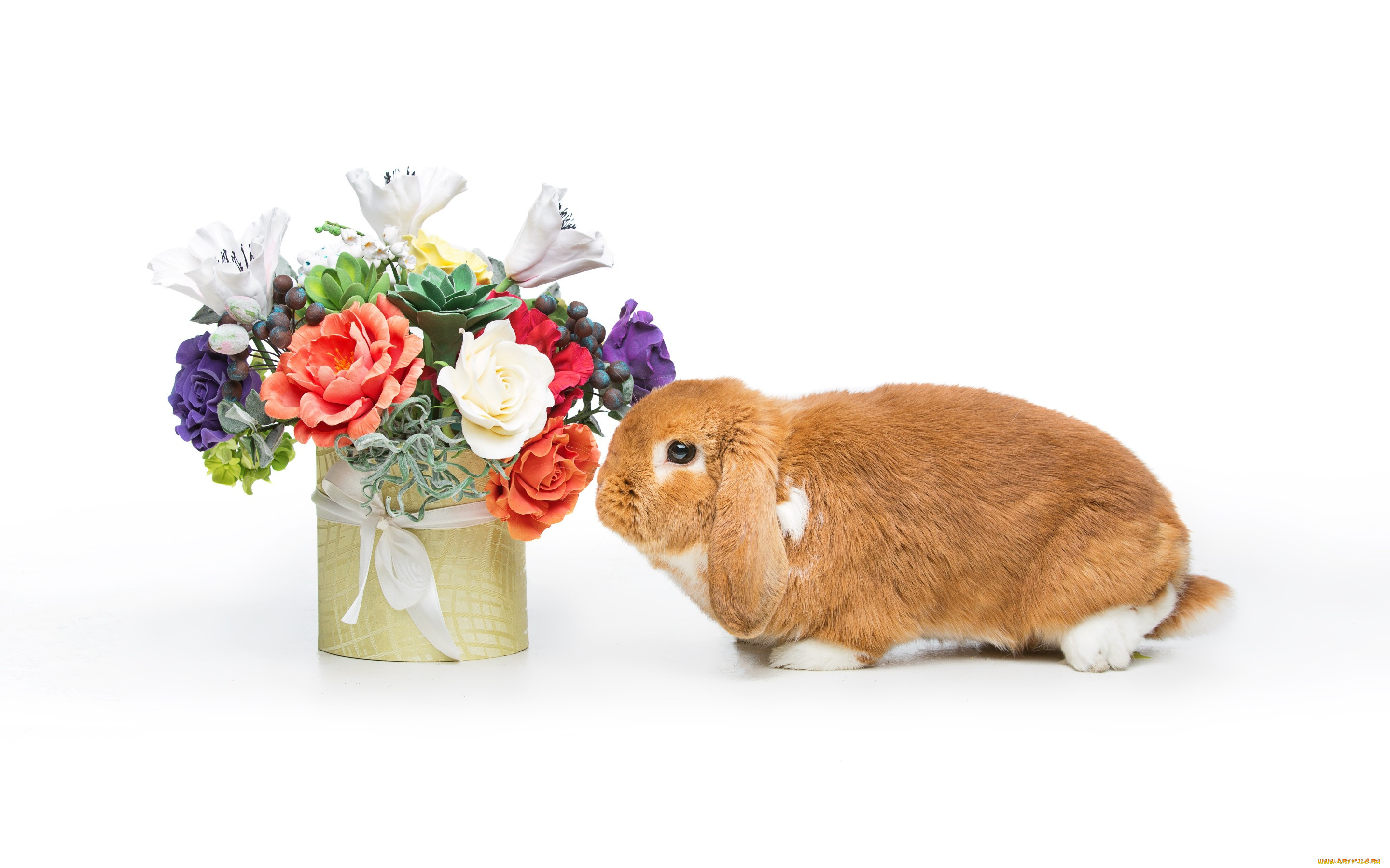 , ,  , , flowers, spring, eggs, , happy, rabbit